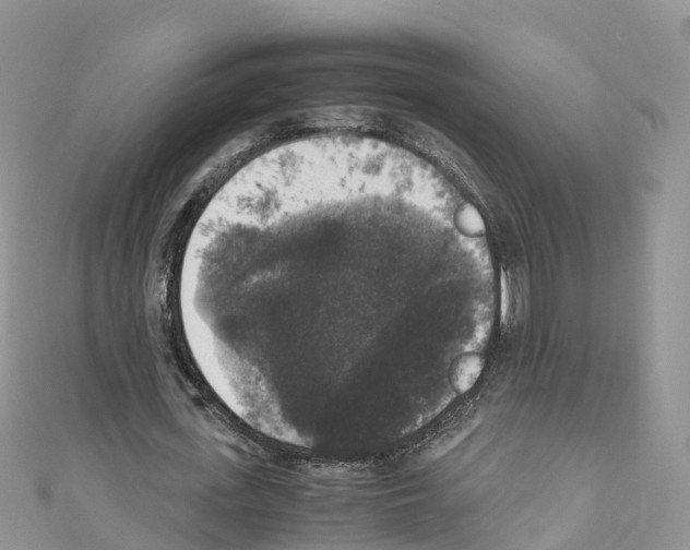 X0000110710723200907241145