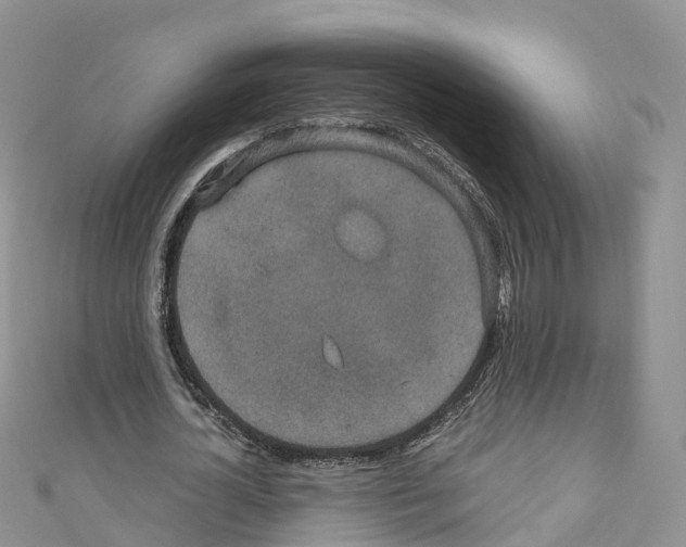 X0000110710724200907241145