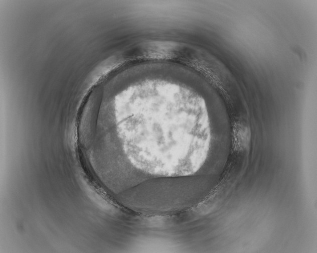X0000110710726200907241145