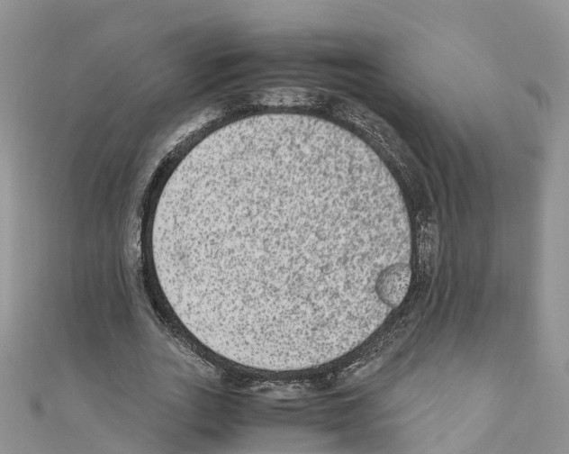 X0000110710727200907241145
