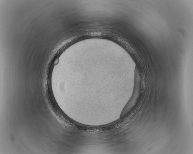 X0000110710728200907241145