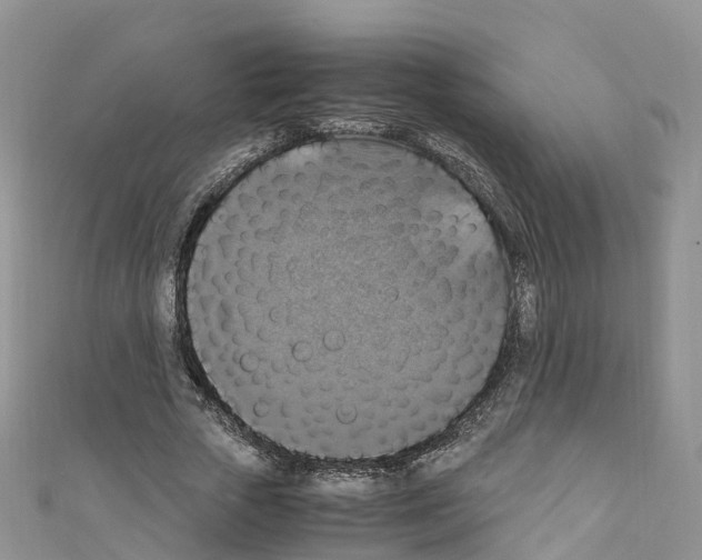 X0000110710729200907241145