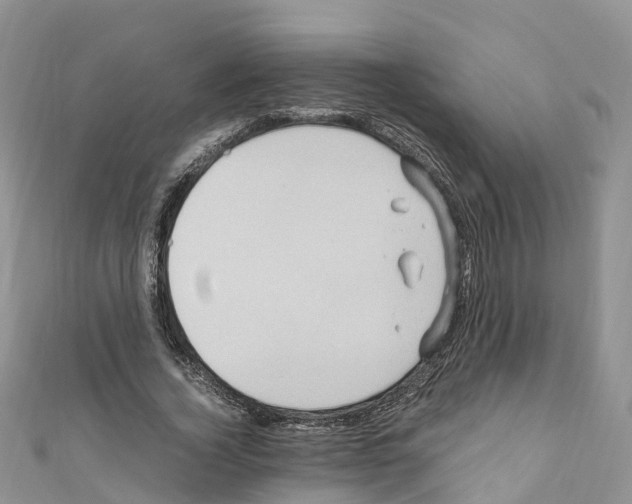X0000110710732200907241145