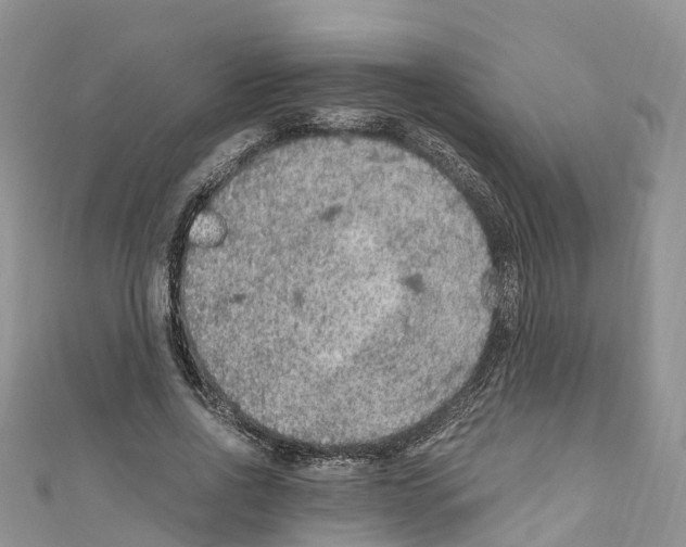 X0000110710734200907241145
