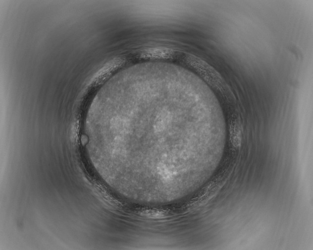 X0000110710735200907241145