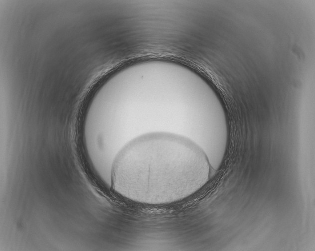 X0000110710736200907241145