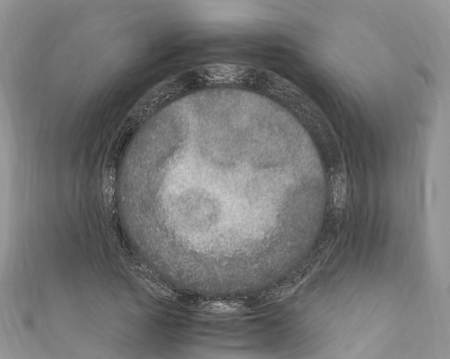 X0000110710737200907241145
