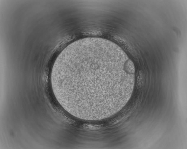 X0000110710739200907241145