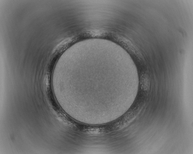 X0000110710740200907241145