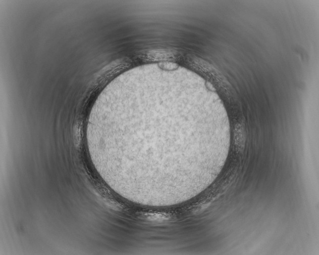 X0000110710741200907241145