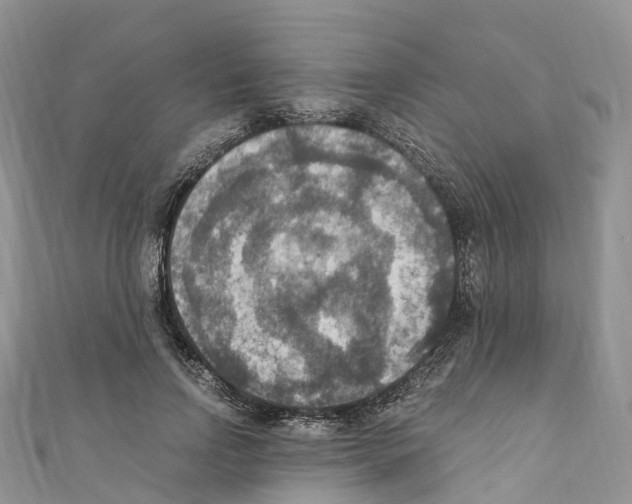 X0000110710742200907241145