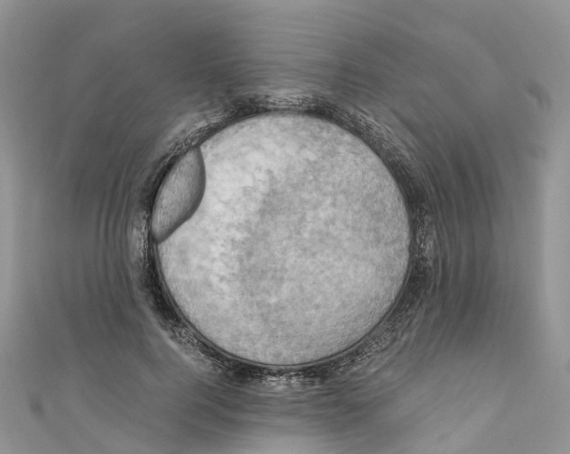 X0000110710744200907241145