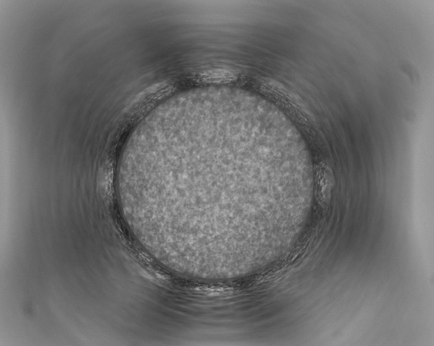X0000110710745200907241145