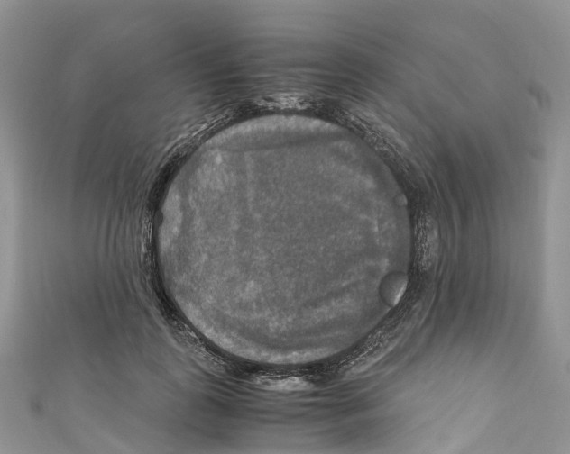 X0000110710747200907241145