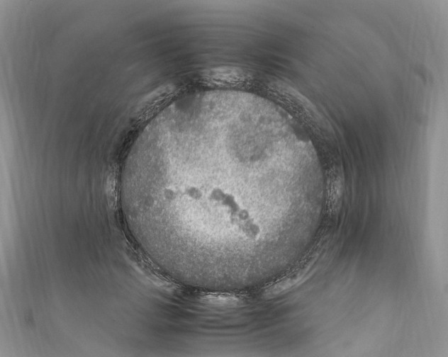 X0000110710749200907241145