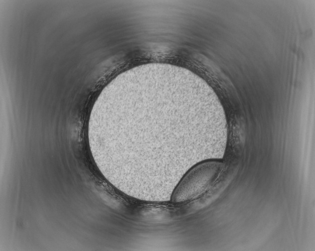 X0000110710750200907241145
