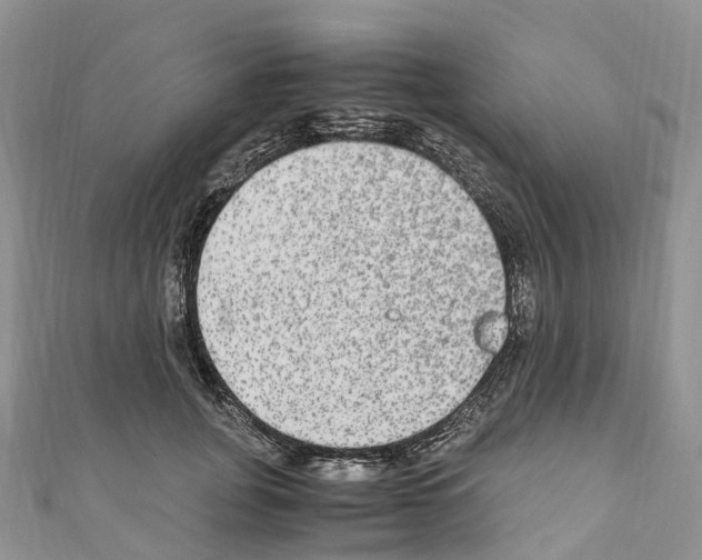 X0000110710751200907241145