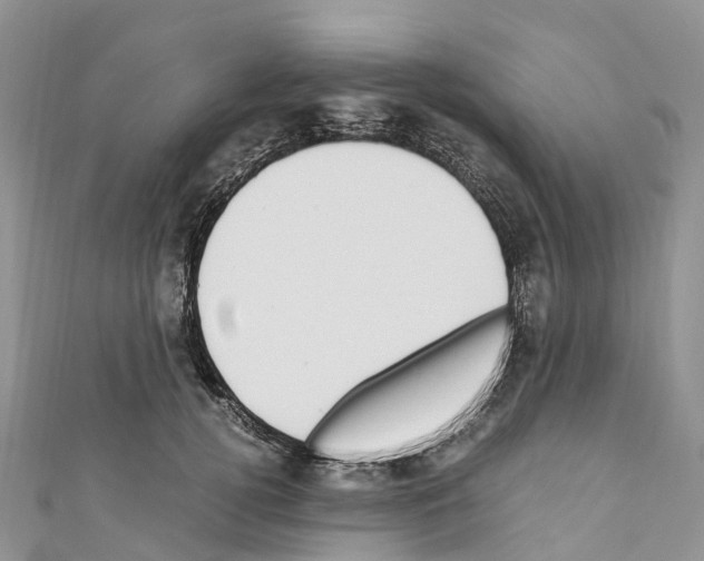 X0000110710752200907241145