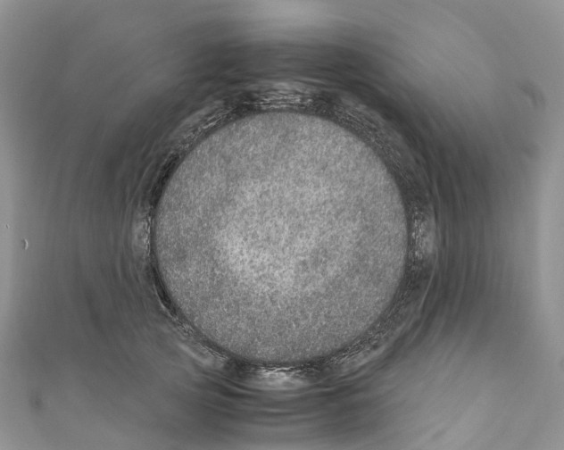 X0000110710753200907241145