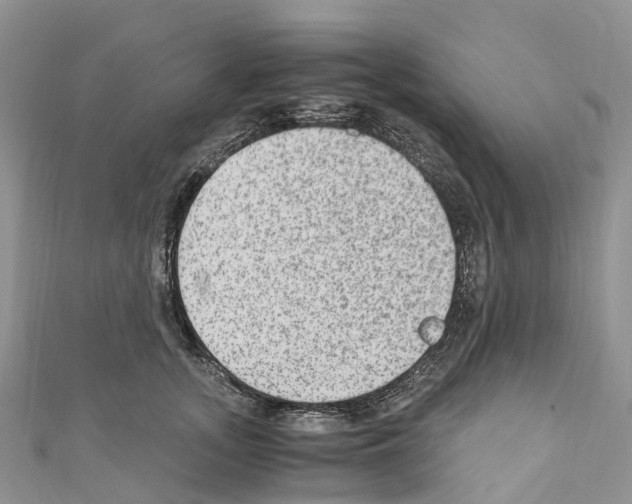 X0000110710755200907241145