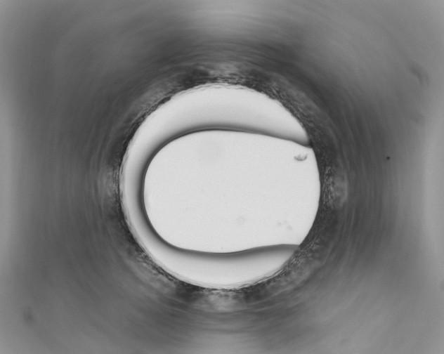 X0000110710756200907241145