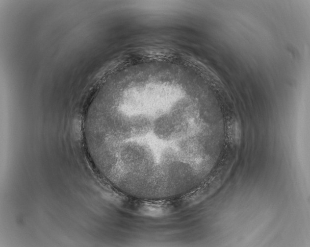 X0000110710757200907241145