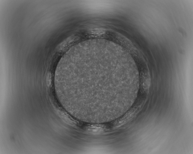 X0000110710758200907241145