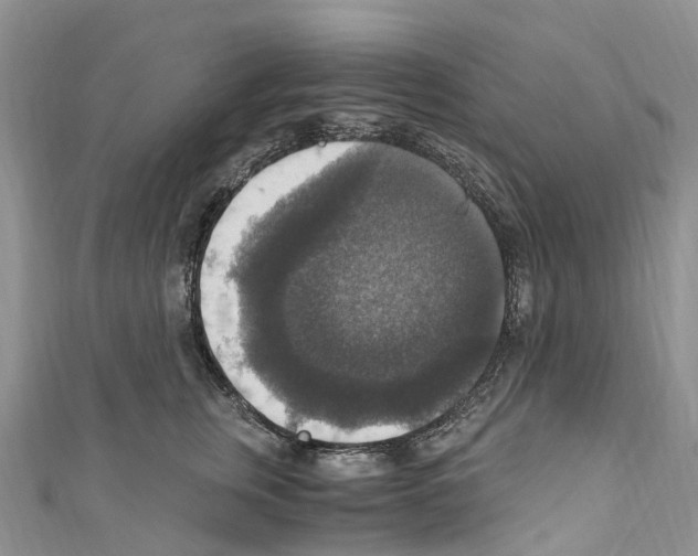 X0000110710759200907241145