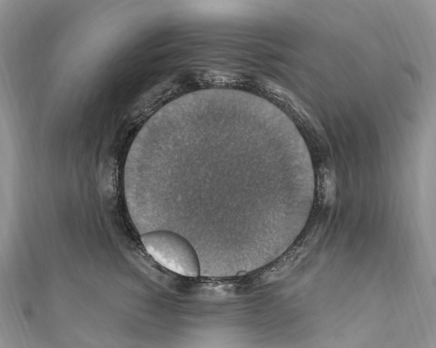 X0000110710760200907241145