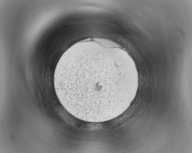 X0000110710762200907241145