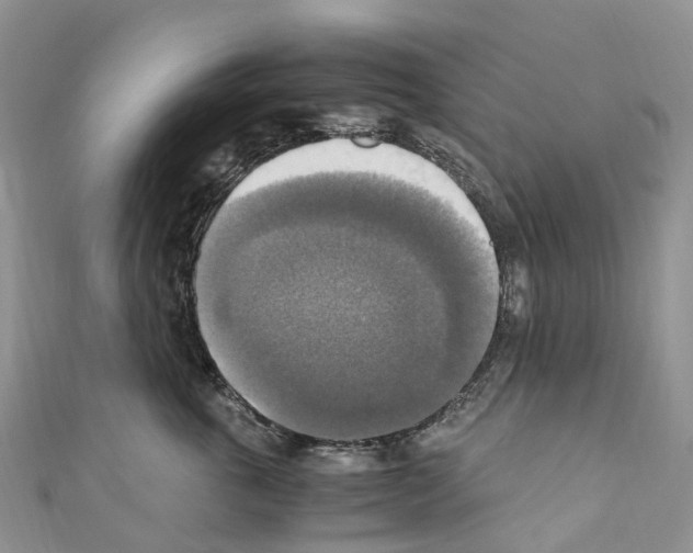 X0000110710763200907241145