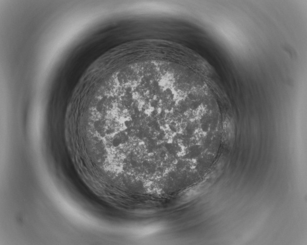 X0000110710765200907241145