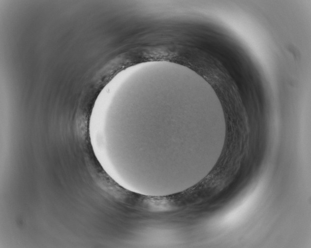 X0000110710767200907241145