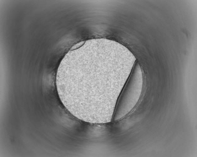 X0000110710768200907241145