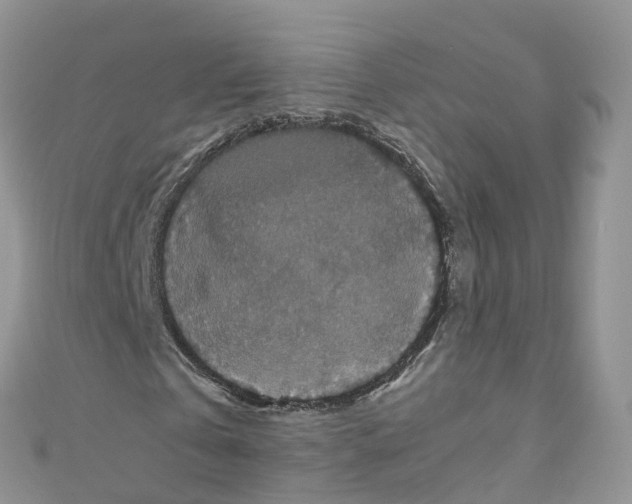 X0000110710769200907241145