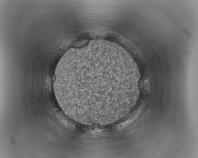 X0000110710772200907241145