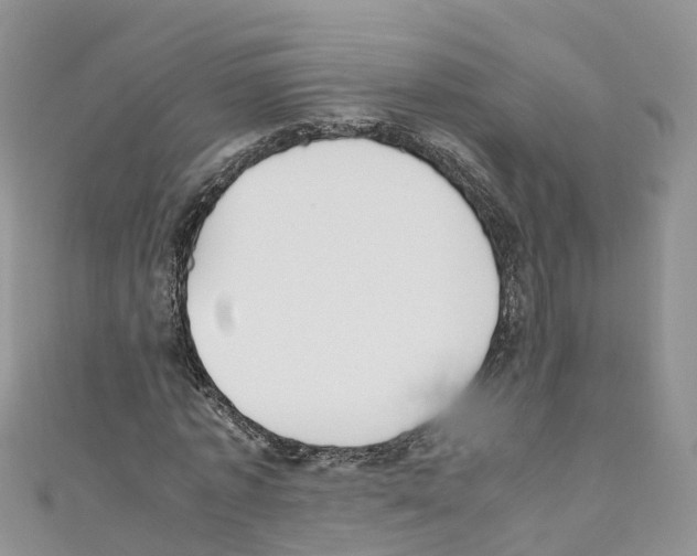 X0000110710773200907241145