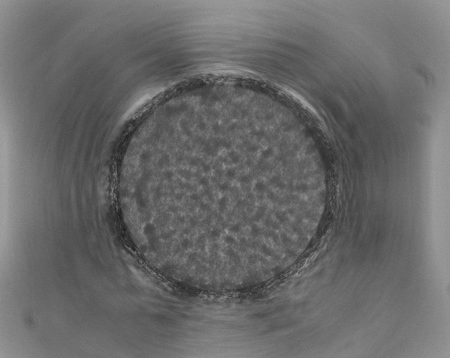 X0000110710775200907241145