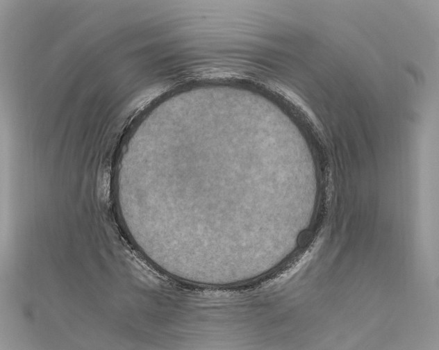 X0000110710777200907241145
