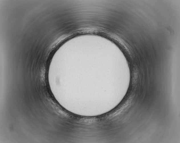 X0000110710778200907241145
