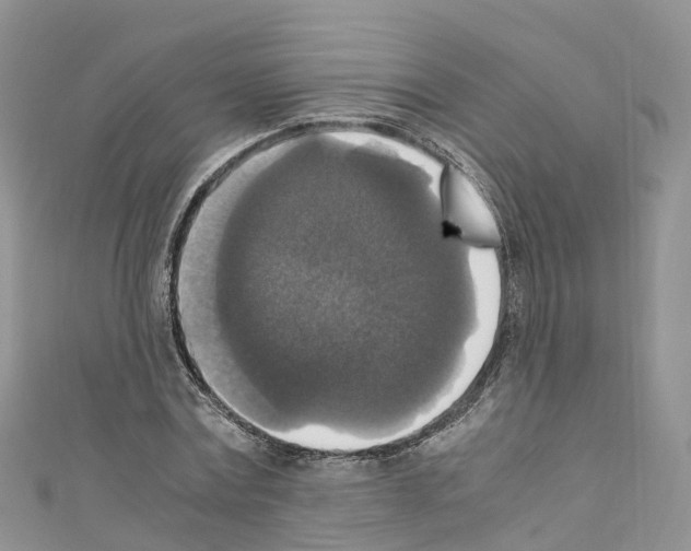 X0000110710779200907241145