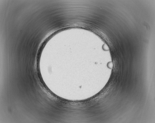 X0000110710780200907241145