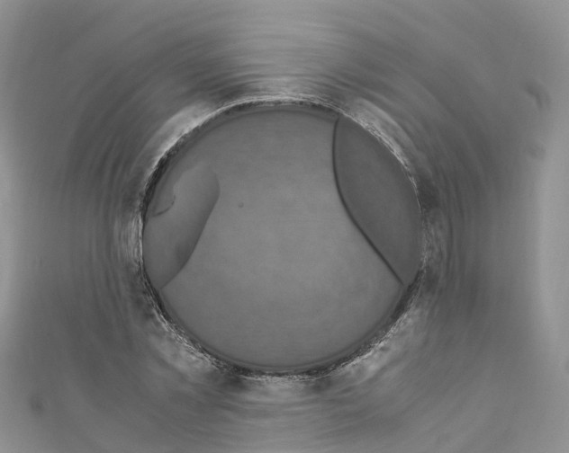 X0000110710781200907241145