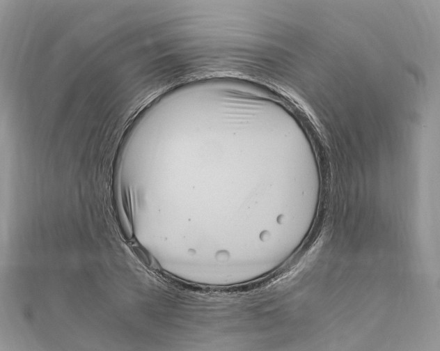 X0000110710785200907241145
