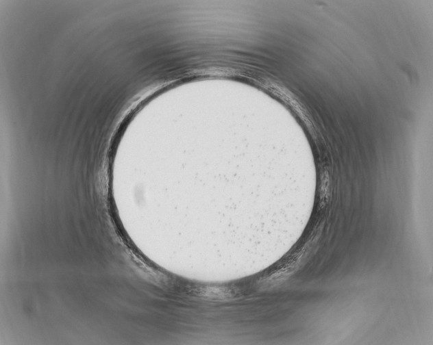 X0000110710787200907241145