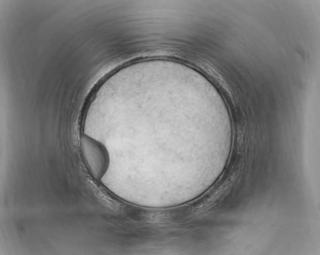 X0000110710789200907241145