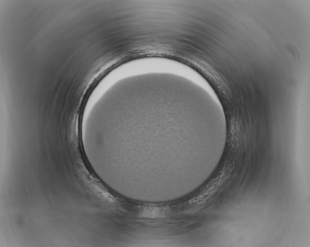 X0000110710790200907241145