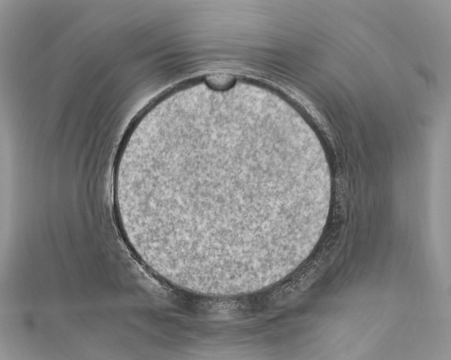 X0000110710791200907241145