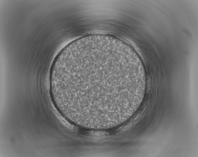 X0000110710795200907241145