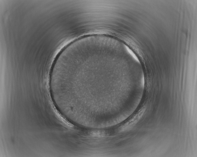 X0000110710797200907241145